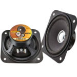 4 Inch 20 Watt Woofer