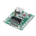 PAM 8403 Micro USB Audio Amplifier Board 5V