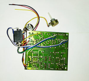 ECHO mic circuit board karaoke board High Quality - Calcutta Electronics