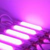 COB LED Light 2W injection Module Purple 12V - Image 3