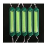 LED 2W injection Module SMD 5370  12V Green